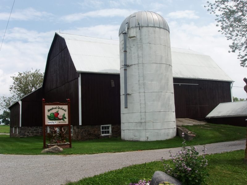 Homestead Orchards