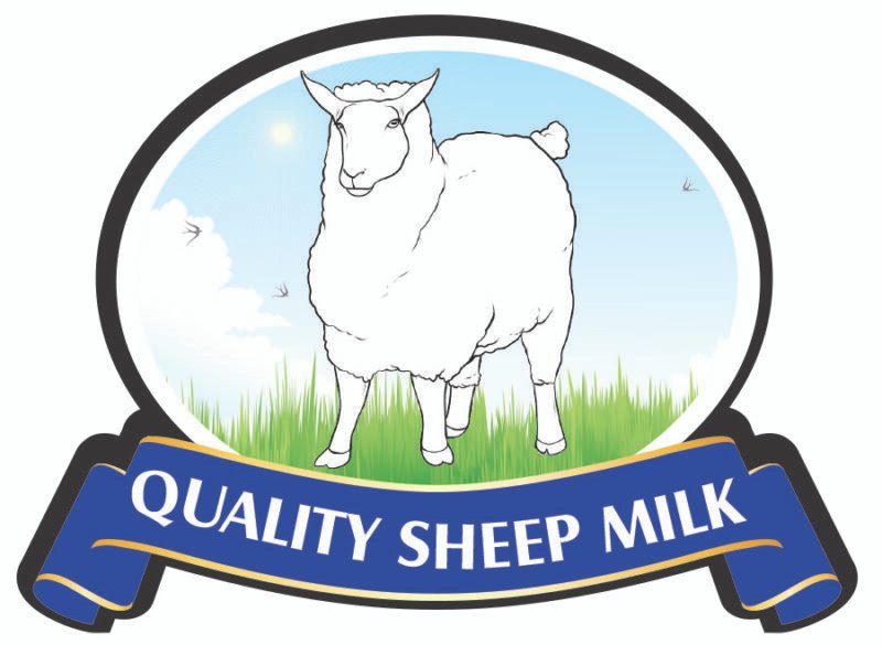 Quality Sheep Milk