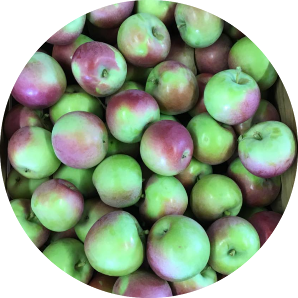 Chary Picker Country Market