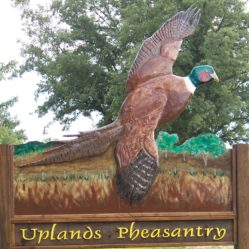 Uplands Pheasantry
