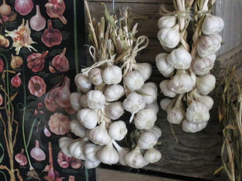 Neubrand Country Produce