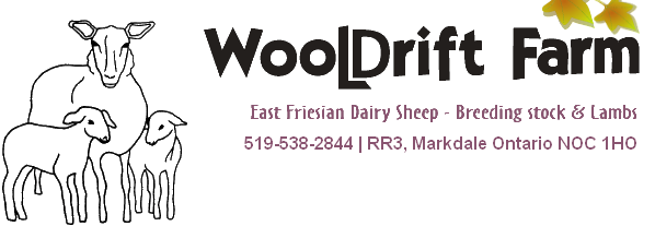 WoolDrift Farm